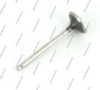 SUBAR 13202AA283 Exhaust Valve